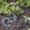 Raindrip Raindrip Full-Circle Drip Irrigation Sprinkler Head 20 gph 3 pk R175CT - alternate 2